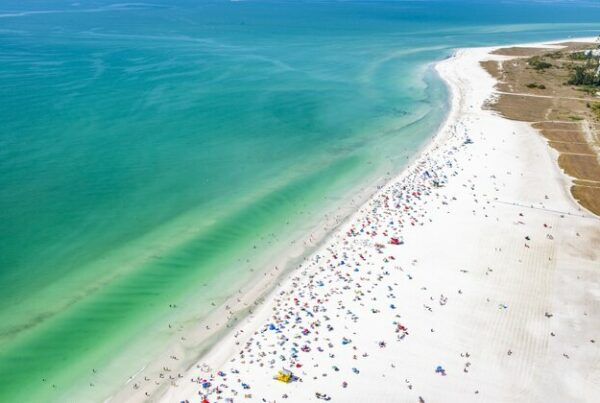 The Pull of the Gulf Coast